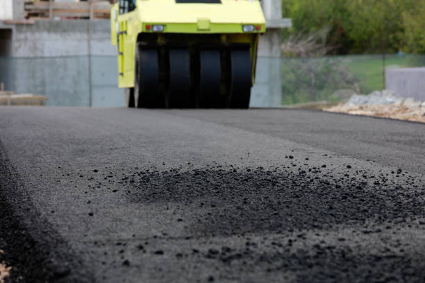 Best Local Driveway Pavers  in Fern Acres, HI